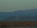 BM Mountain 3